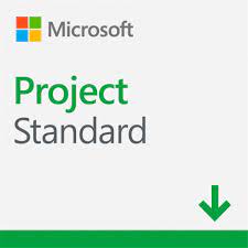 Microsoft Project Standard 2021 Esd